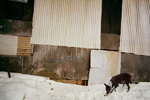 At the Sled Hill Café, Woodstock, 2003