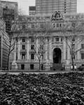 New York City